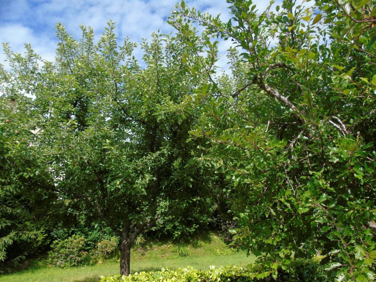 Maison L'Hirondelle Rustique A Tournavaux Kültér fotó
